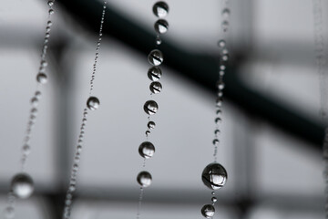 water drops 