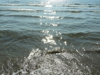 海　海の風景　日本海