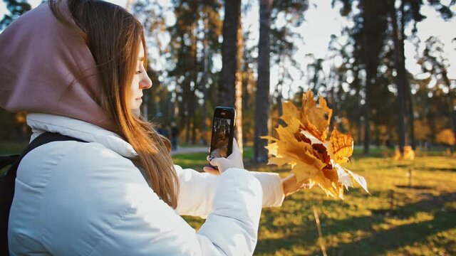 Young cute woman making video clip with autumn foliage bouquet, walking in evening park, using cellphone