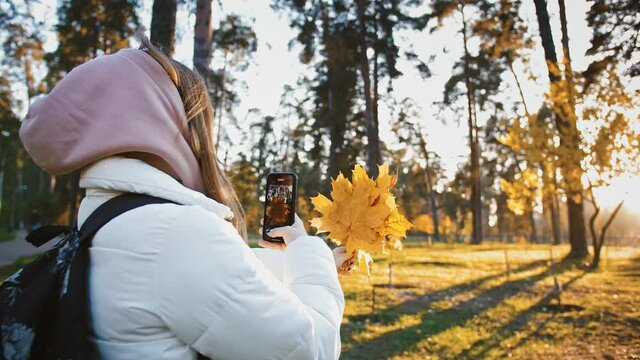Young lady blogger making video on smartphone, recording bouquet of orange maple leaves in evening autumn park