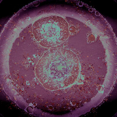 red and green background