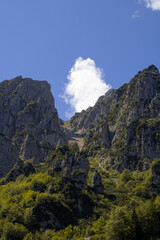 mountains 