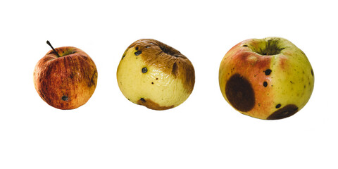 Spoiled rotten apples with mold. Old apples are natural and natural looking. Isolate on white...