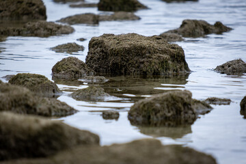Fototapeta na wymiar Rocks in the sea ocean. 