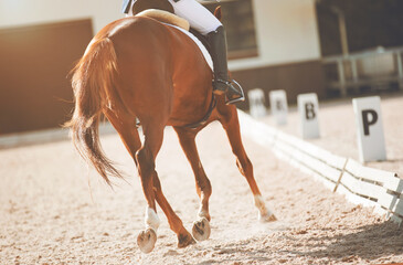 A sorrel fast horse participates in dressage competitions, kicking up dust with its hooves as it...