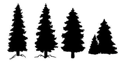 Set of vector Christmas tree silhouettes, traced outline, detailed silhouette of fir trees. Pine trees, conifers silhouettes