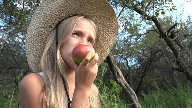 Child Eating Apple, Kid in Orchard, Kid Tasting Fruits in Tree, Farmer Blonde Girl at Village at Countryside
