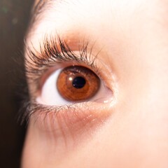 Close up of a colourful Human eye