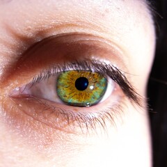 Close up of a colourful Human eye