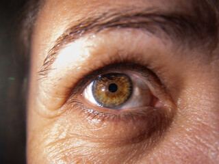 Close up of a colourful Human eye