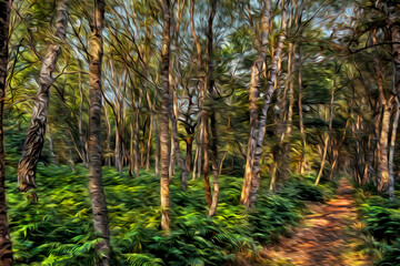 Dirt trail through underbrush and trees with summer light in the Sherwood forest near Nottingham. A city famous for its link to the Robin Hood legend, in central England. Oil paint filter.