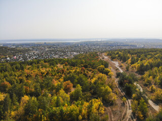 Aerial view forest. Autumn forest aerial drone view. Beautiful green and yellow autumn forest.