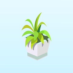 Vector of a plant in a vase on baby blue background