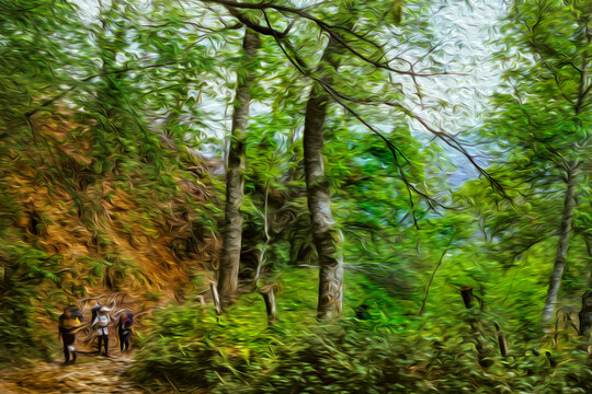 Hikers on dirt trail walking through forest at the Way of St. James. A famous pilgrimage route leading to Santiago de Compostela in northern Spain. Oil paint filter.