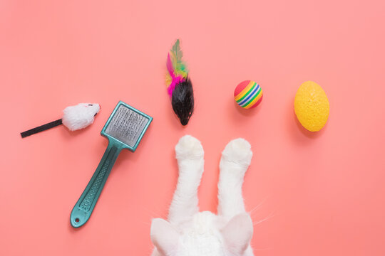 White cat paws and accessories for pets: ball, mice, comb. Pink background, copy space, top view. The concept of pet supplies.