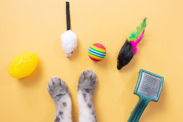 Gray cat paws and accessories for pets: ball, mice, comb. Yellow background, copy space, top view....