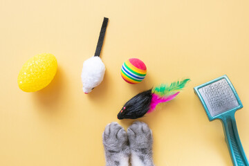 Gray cat paws and accessories for pets: ball, mice, comb. Yellow background, copy space, top view. Pet supplies concept.