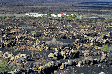 Spain, Canary Island, Lanzarote