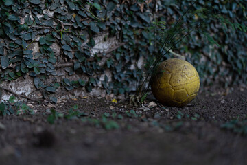 Fototapeta premium Balón Amarillo