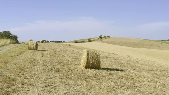 Haystacks in harvested fields of wheat
