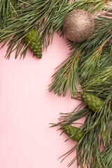 Pine or fir branch with Christmas ball and cones on pink background