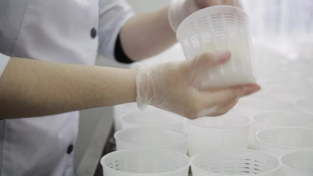 Cheese making process. Stages of cheese production at the factory
