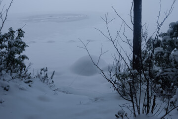 Fototapeta na wymiar Russia, Karelia, Kostomuksha.The snow,the bushes are covered with snow. December 02, 2020.
