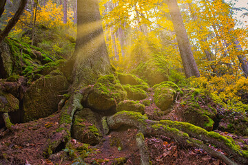 Sächsische Schweiz ist ein einmaliges Naturwunder in
Deutschland
