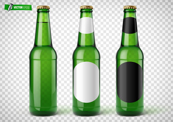 Bouteilles de bière vectorielles sur fond transparent