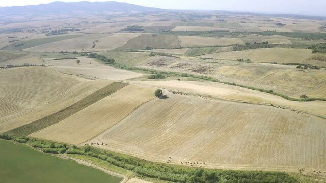 Landscaped land with harvested or ready to harvest fields of wheat