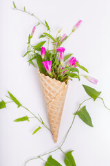 flowers in waffle cones