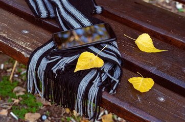 Smartphone, fallen leaves and a striped scarf on a park bench.