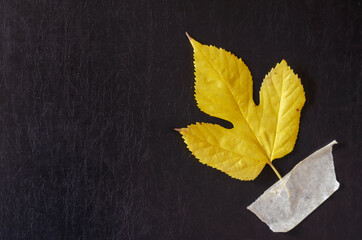 Creative multitasking background with fallen leaf and duct tape on black background.