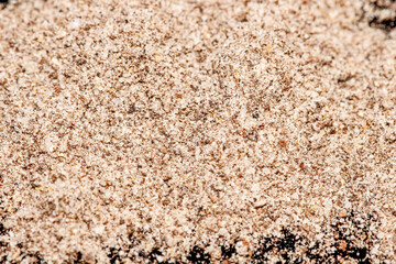 Macro photography of ground black pepper on a black background.