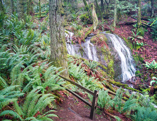 Majestic Doughty Falls shinning with green plant life and red leaves in washington state