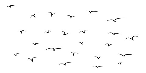 flock of birds, flock of seagulls, vector set of bird flying