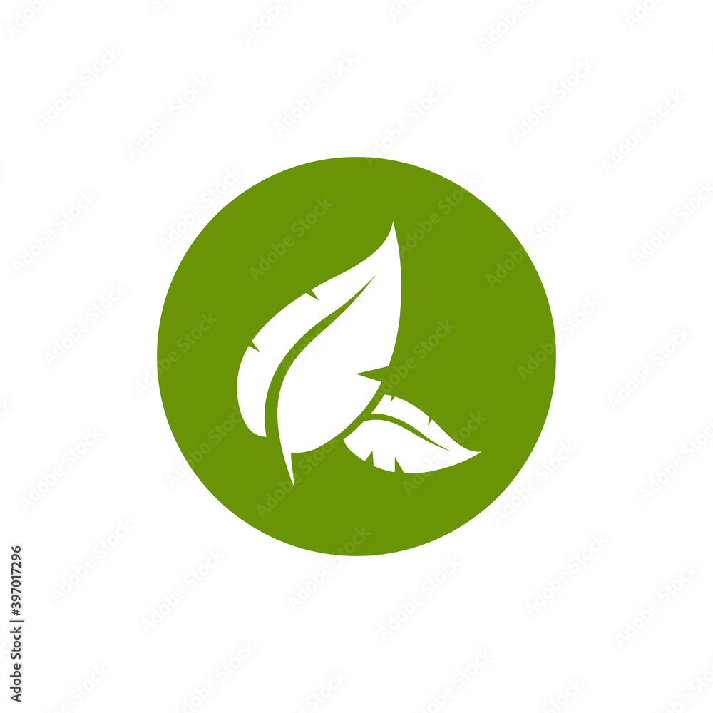 Canvas Prints Natural leaf icon logo design template