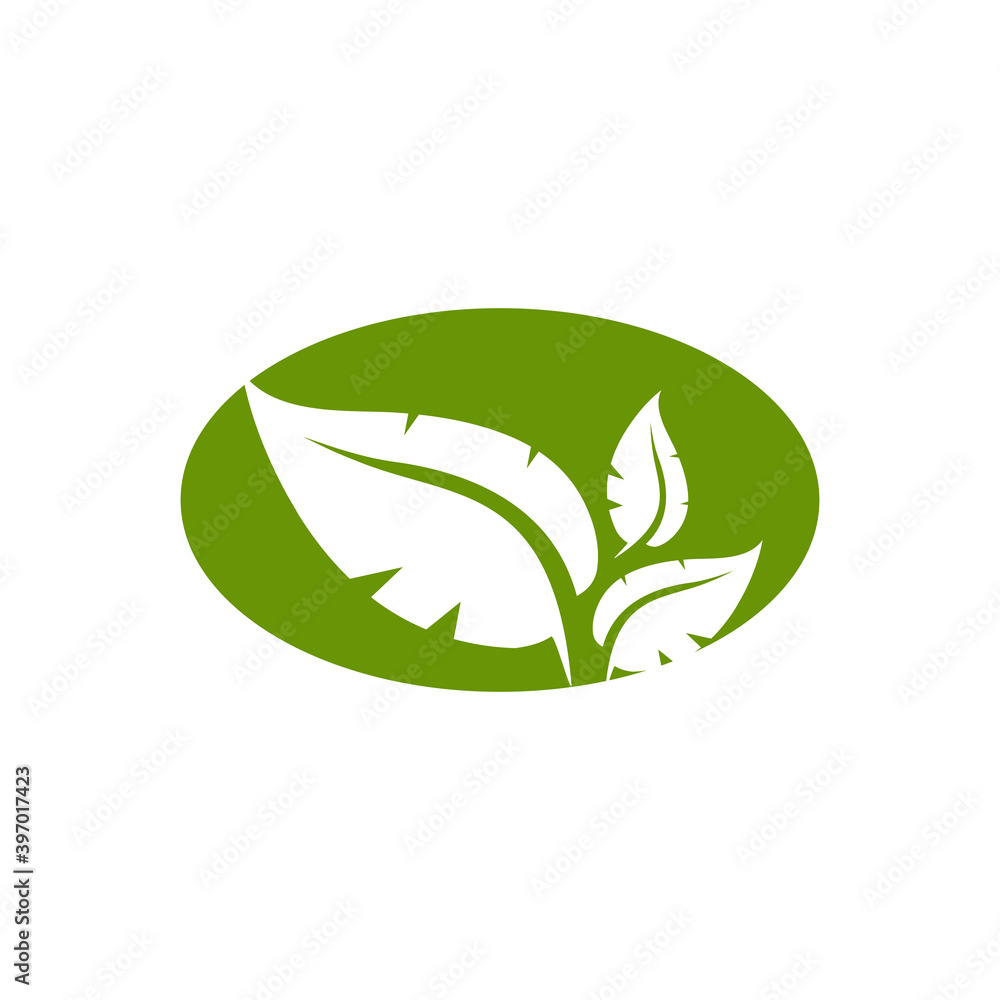 Wall mural natural leaf icon logo design template