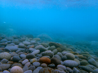sfondo marino (143)