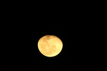 moon in the night sky