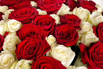 bouquet of white and red roses