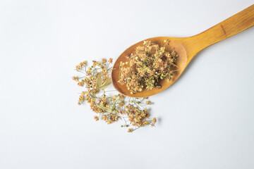 Dried linden tree on a white background. A bunch of dried linden on a wooden spoon. Healing herbs.
