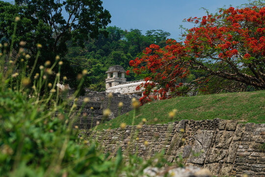 Maya temple ruins with palace and observation tower, Palanque, Chiapas, Mexico