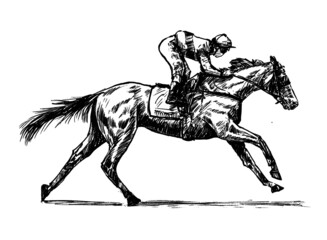 sketch of jockey hand draw