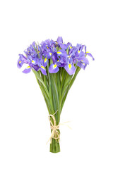 Naklejka na ściany i meble bouquet of irises