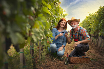 Smiling couple toast with red wine among vines