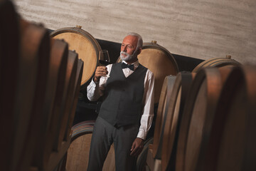 Senior man standing between barrels in wine cellar