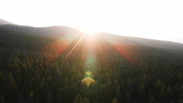 Lens flare in mountains at orange sunset in summer morning aerial view drone. Sun rays. Green pine forest slopes of mountain range. Bright disk of sun in blue sky slowly sets tops of mountains. Nature