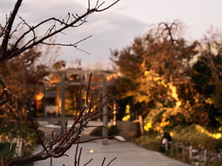 博多駅屋上神社