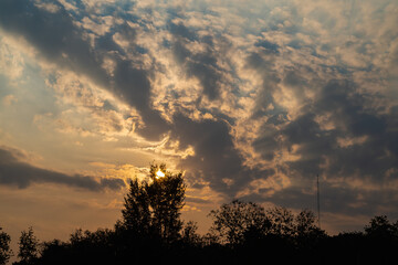 Sunset sky and clouds against silhouette of trees. Evening sky with sunlight shining through the trees.